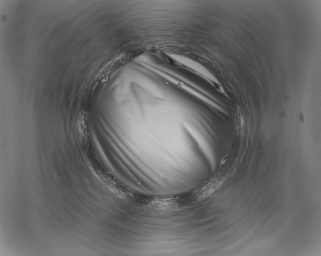 X0000068750280200605191606