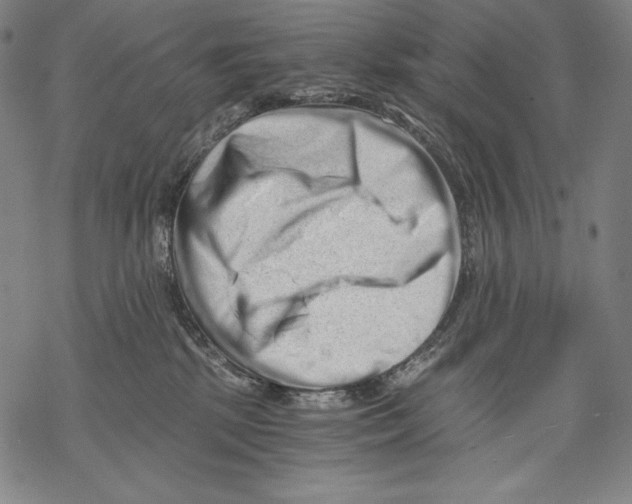 X0000068750281200605191606
