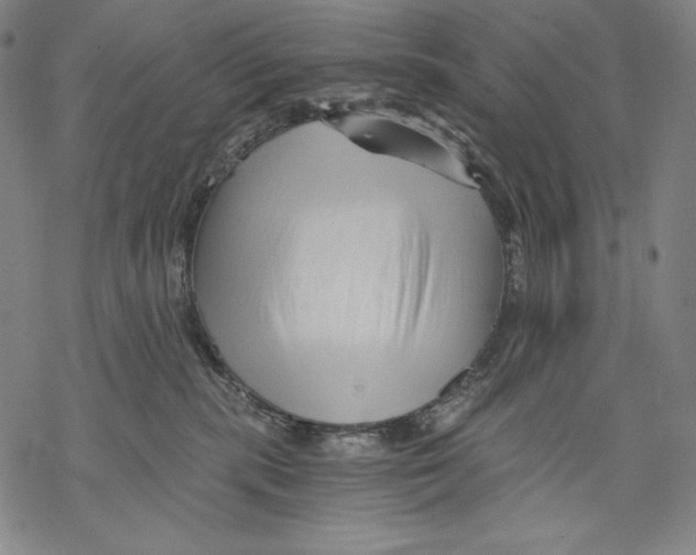 X0000068750283200605191606