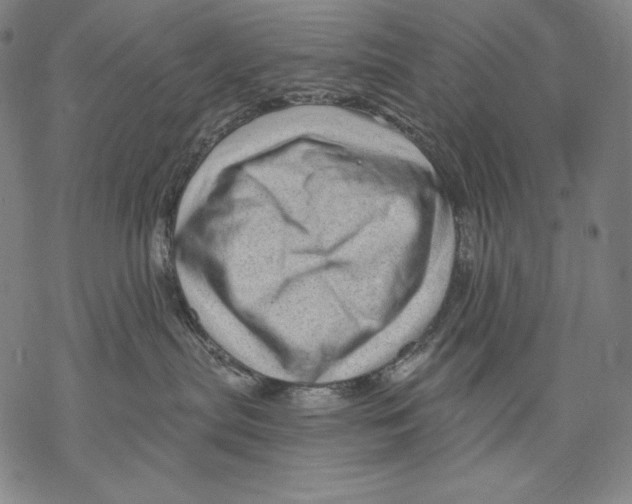 X0000068750287200605191606