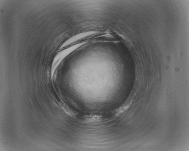 X0000068750288200605191606