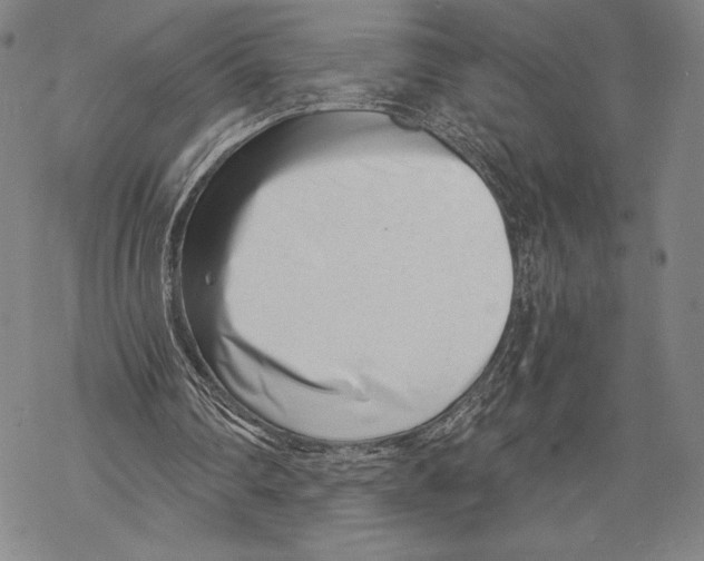 X0000068750290200605191605
