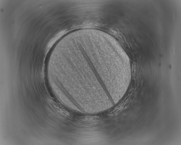 X0000068750292200605191605