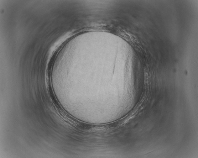 X0000068750294200605191605