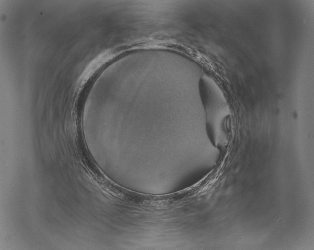 X0000068750295200605191605