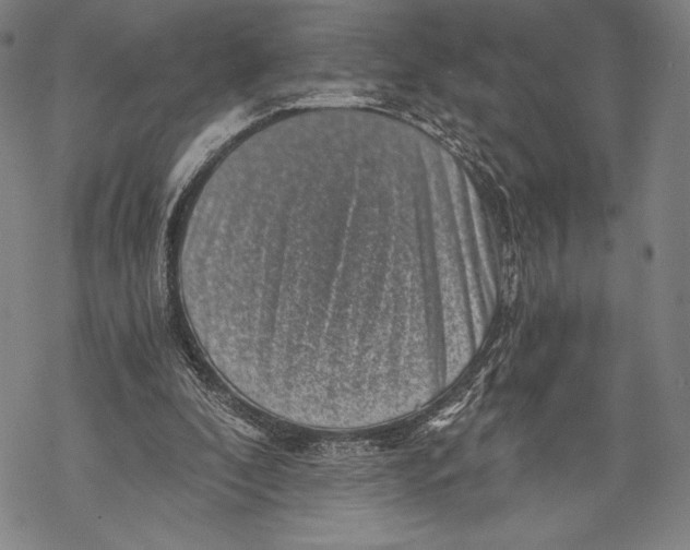 X0000068750296200605191605