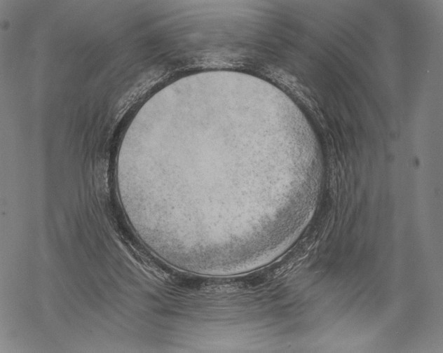 X0000068750299200605191605