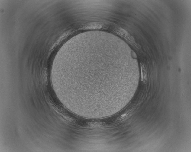 X0000068750300200605191605