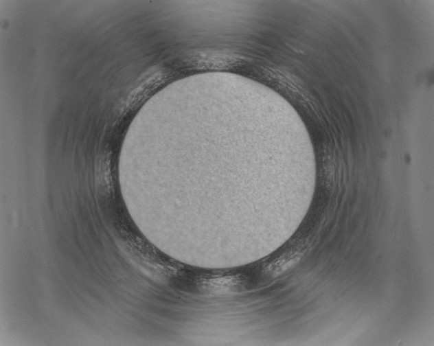 X0000068750312200605191605