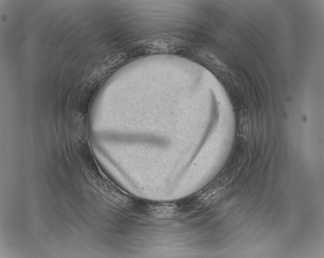 X0000068750318200605191605