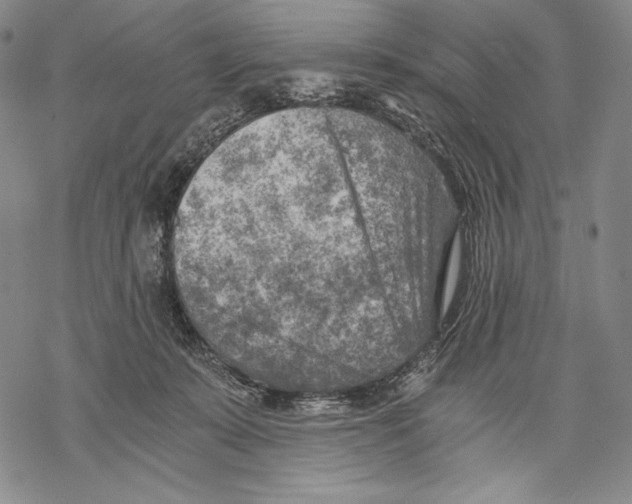 X0000068750319200605191605