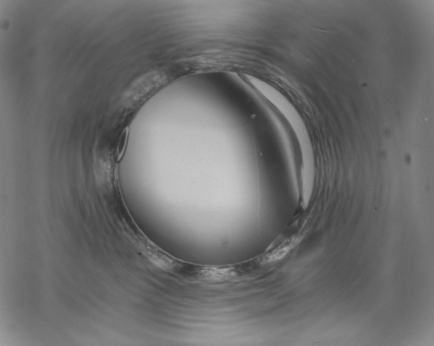X0000068750333200605191605