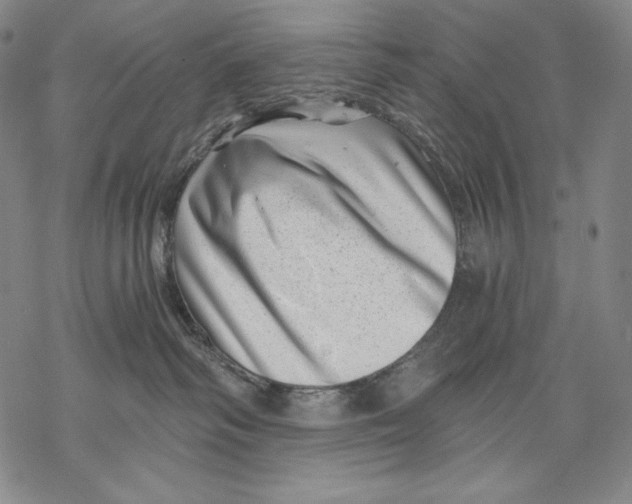 X0000068750334200605191605