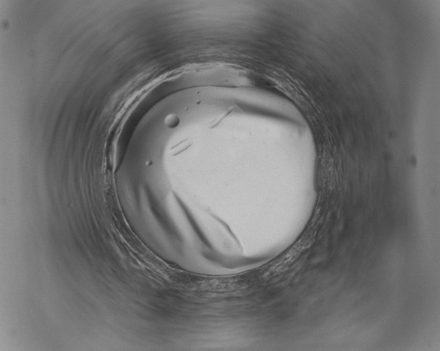 X0000068750338200605191604