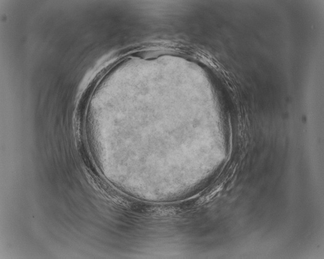 X0000068750343200605191604