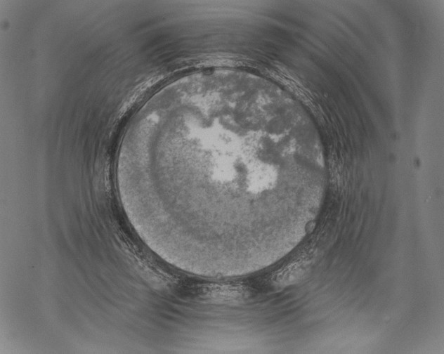 X0000068750347200605191604