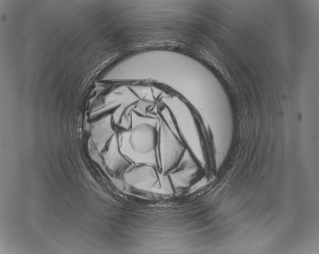X0000068750356200605191604