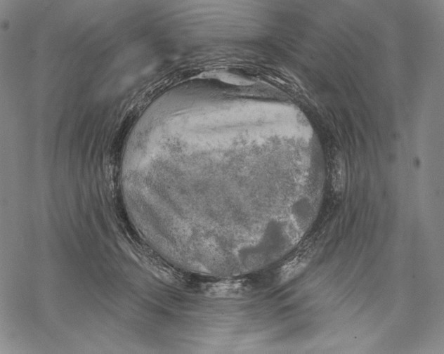 X0000068750366200605191604