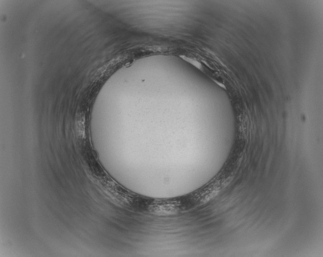 X0000068750368200605191604