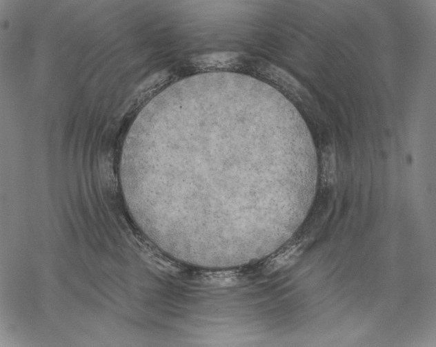 X0000068750377200605191604
