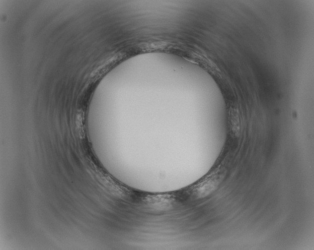 X0000068750378200605191604
