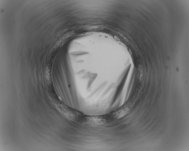 X0000068750380200605191604