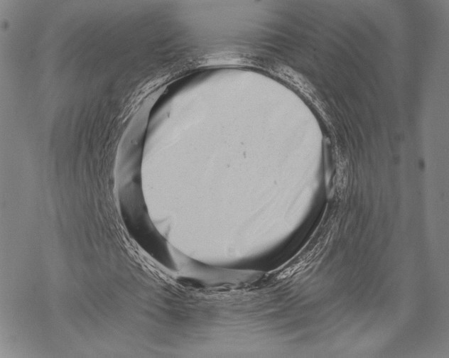 X0000068750385200605191604