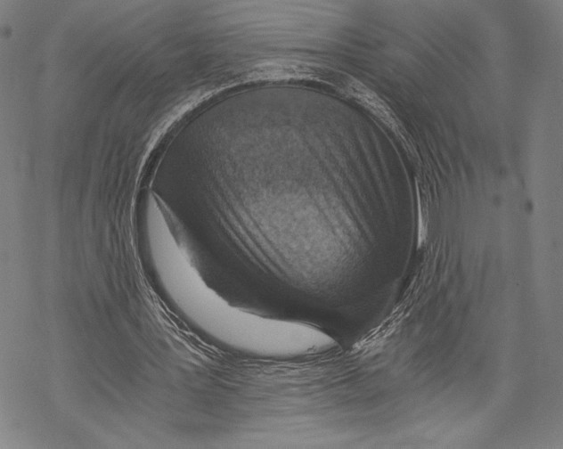 X0000068750387200605191604