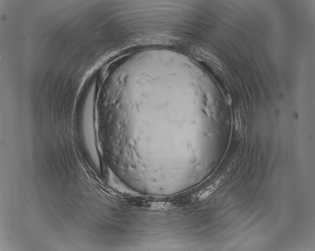 X0000068750388200605191604