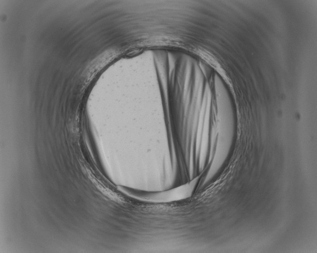 X0000068750389200605191604
