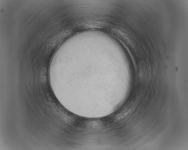 X0000068750402200605191603