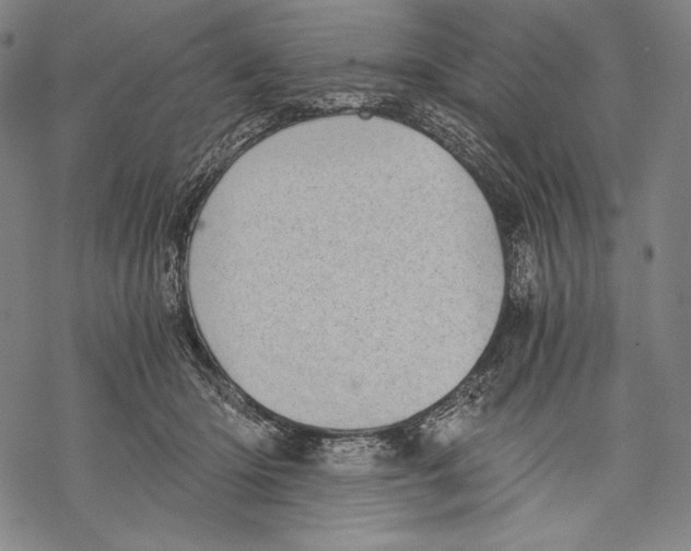 X0000068750414200605191603