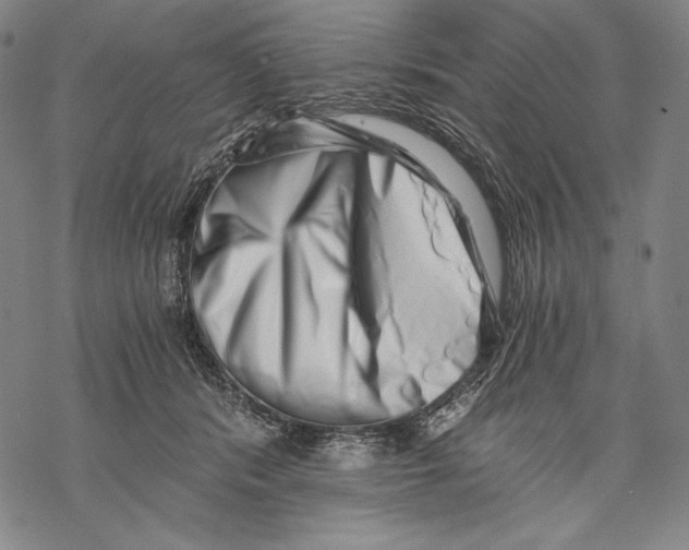 X0000068750416200605191603