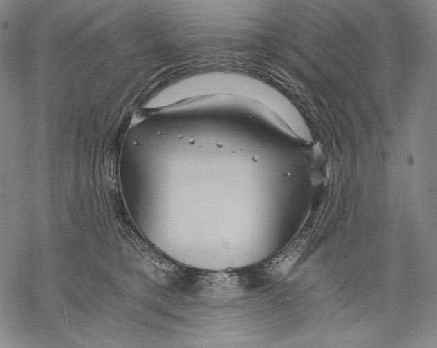 X0000068750421200605191603