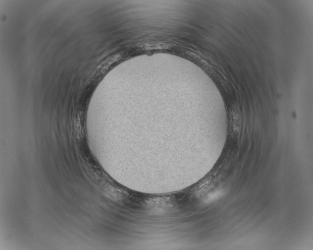X0000068750422200605191603