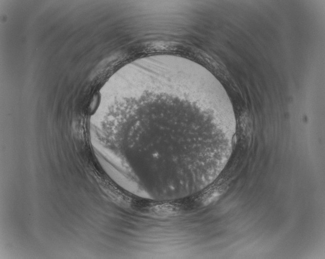 X0000068750423200605191603