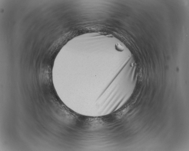 X0000068750424200605191603