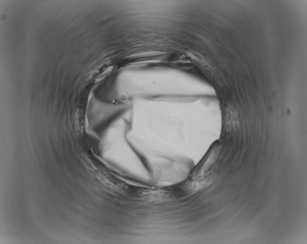 X0000068750428200605191603