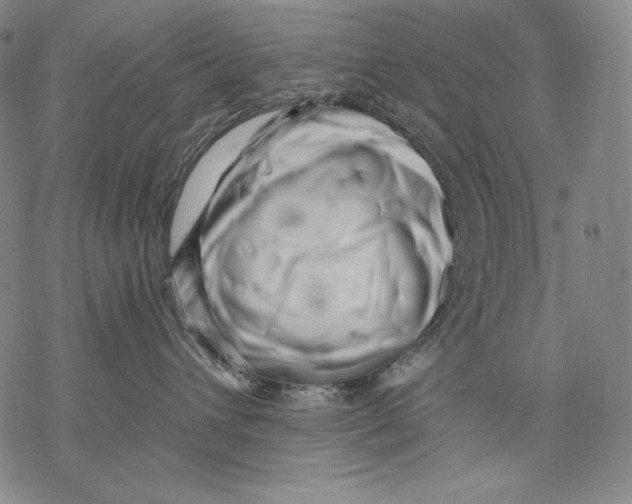 X0000068750432200605191603