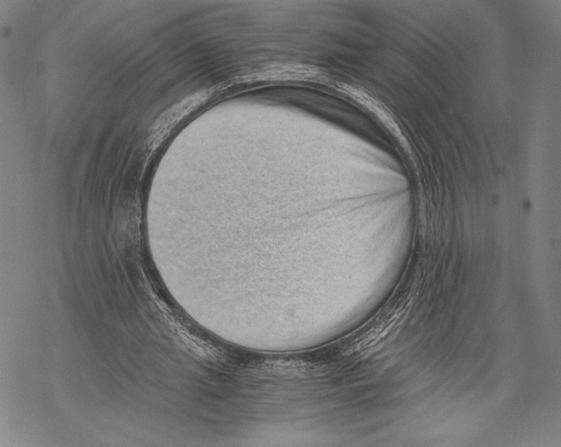 X0000068750437200605191602