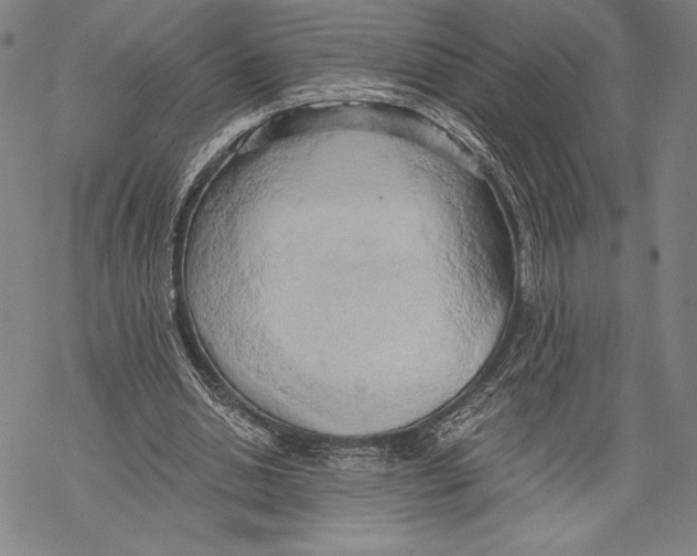 X0000068750438200605191602
