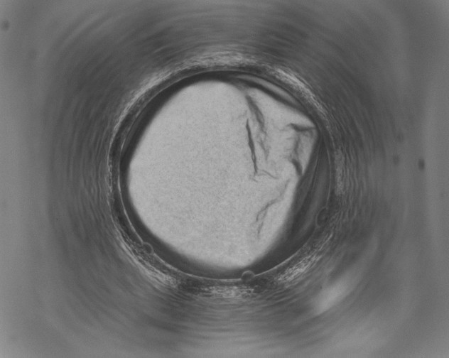 X0000068750439200605191602