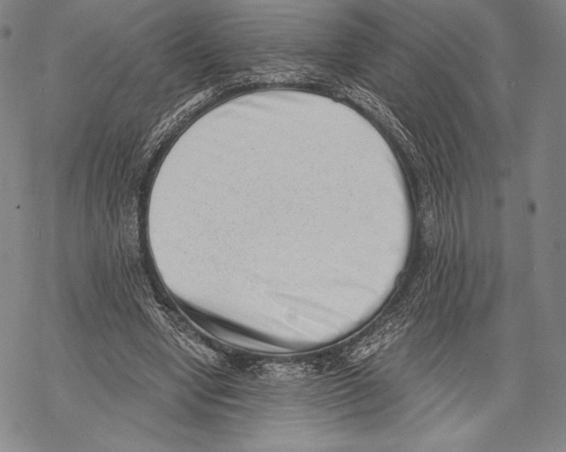 X0000068750442200605191602
