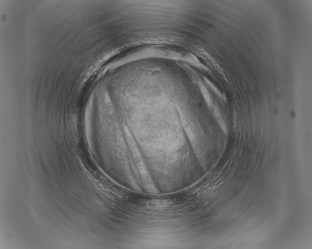 X0000068750444200605191602