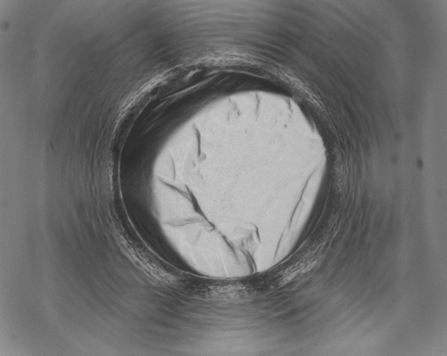 X0000068750446200605191602