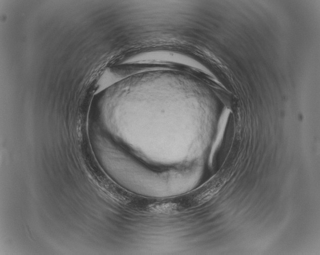 X0000068750452200605191602
