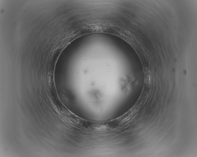 X0000068750456200605191603
