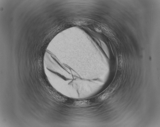 X0000068750461200605191603