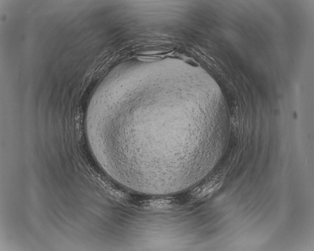 X0000068750462200605191603