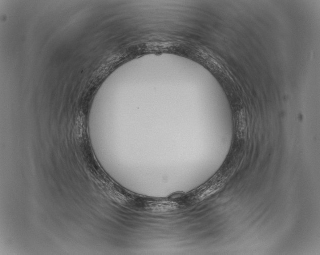 X0000068750463200605191603